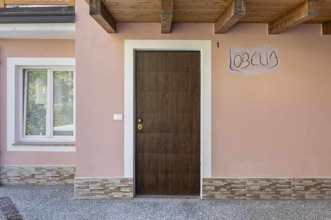 Agritur Horizon Appartement Carzano  Buitenkant foto